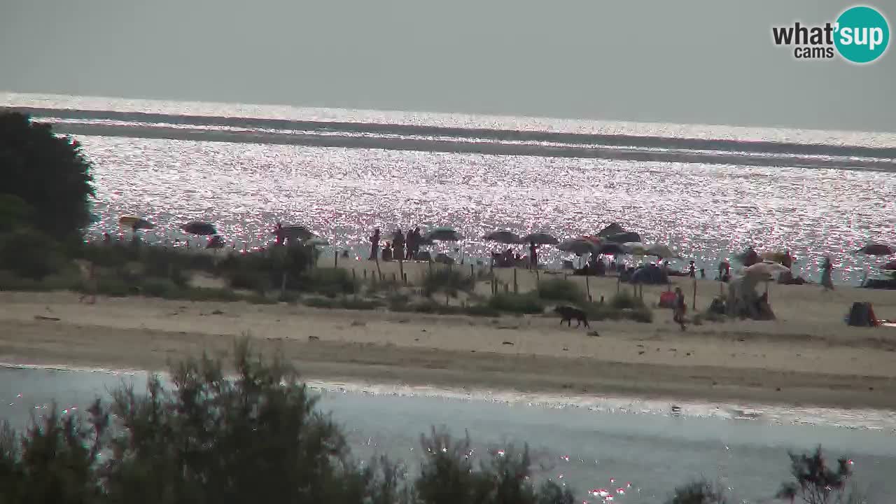 Webcam Chia – Vue en direct de la plage Su Giudeu