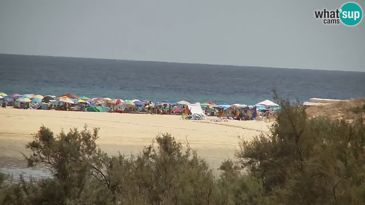Webcam Chia – Live View of Su Giudeu Beach