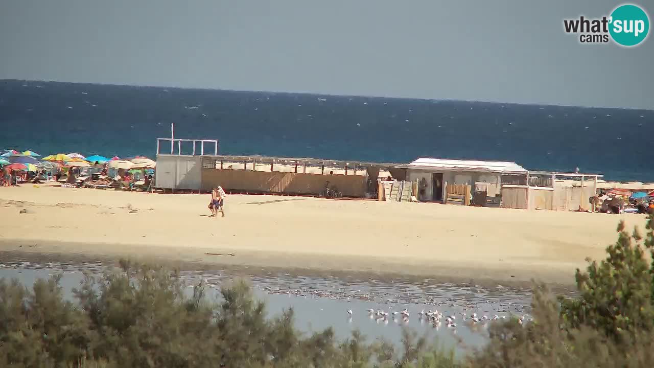 Webcam Chia – Live View of Su Giudeu Beach