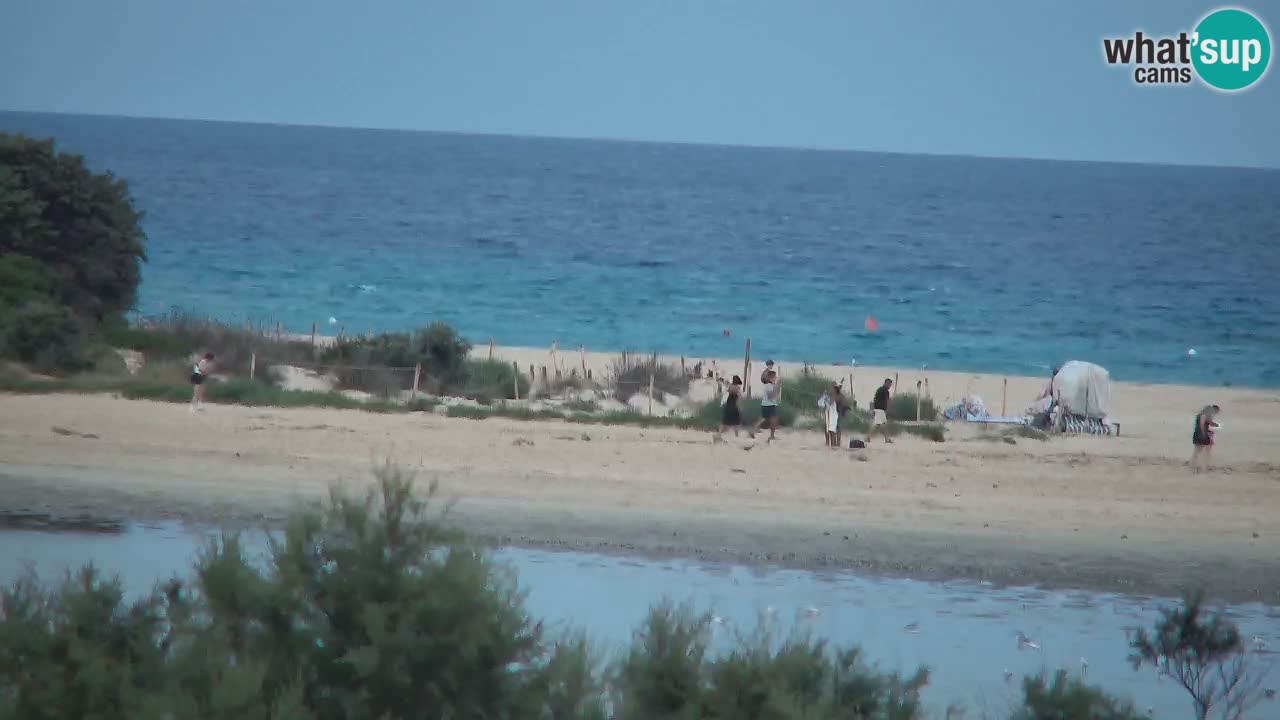 Web kamera Chia – Pogled uživo na plažu Su Giudeu
