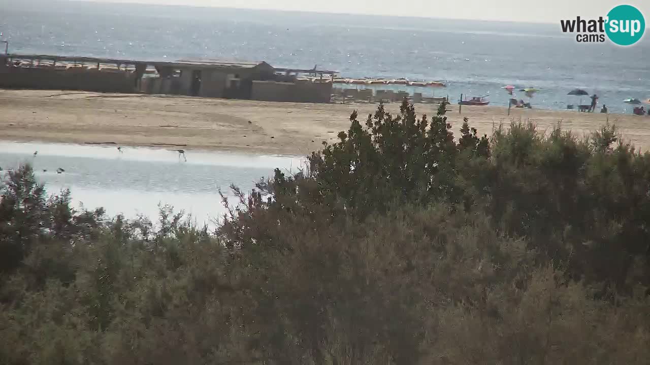 Webcam Chia – Liveblick auf den Strand Su Giudeu
