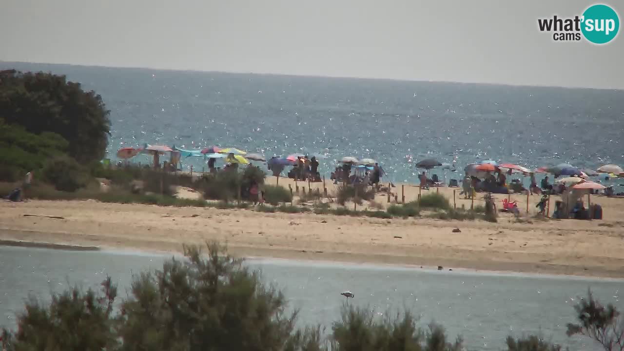 Spletna kamera Chia – Pogled v živo na plažo Su Giudeu