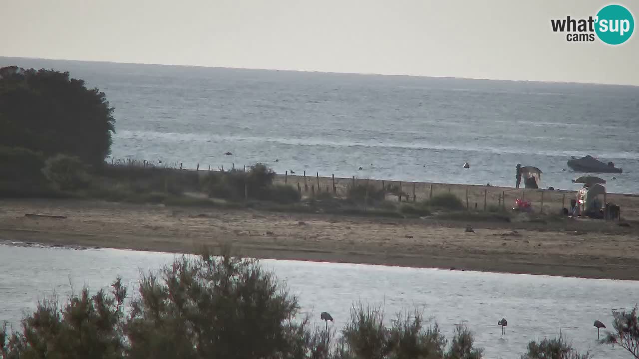 Webcam Chia – Live View of Su Giudeu Beach