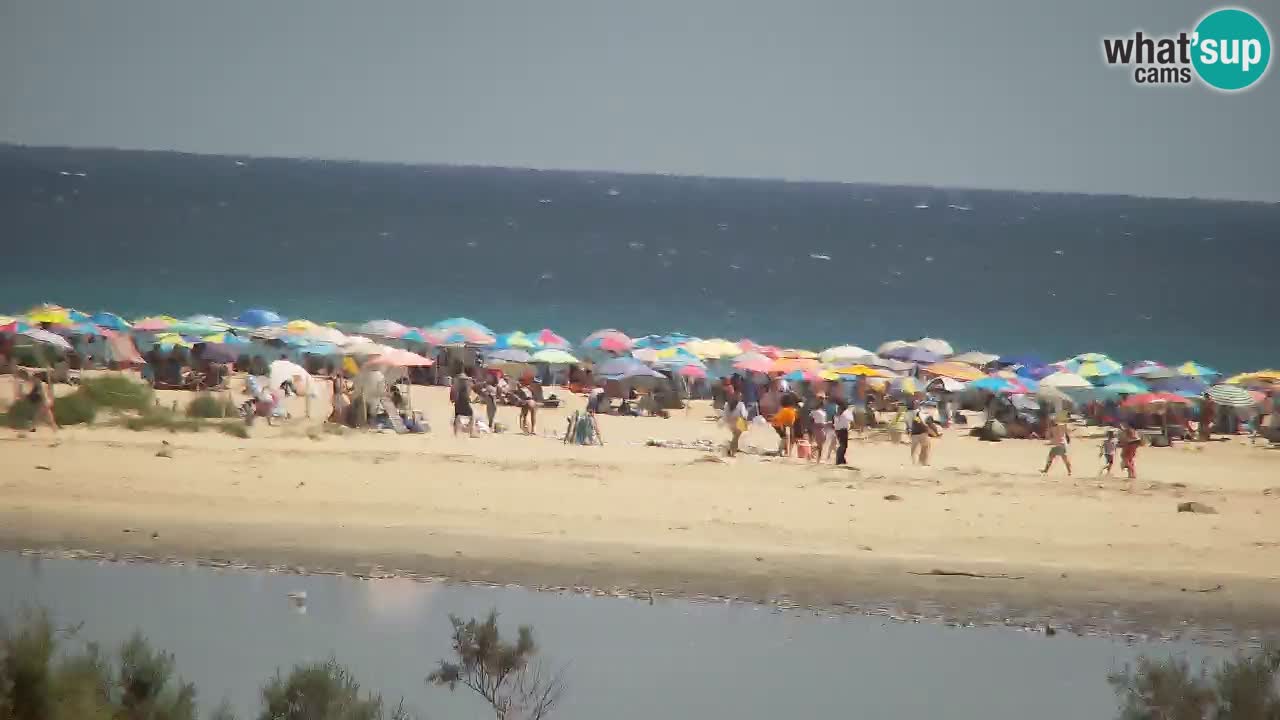 Webcam Chia – Vue en direct de la plage Su Giudeu