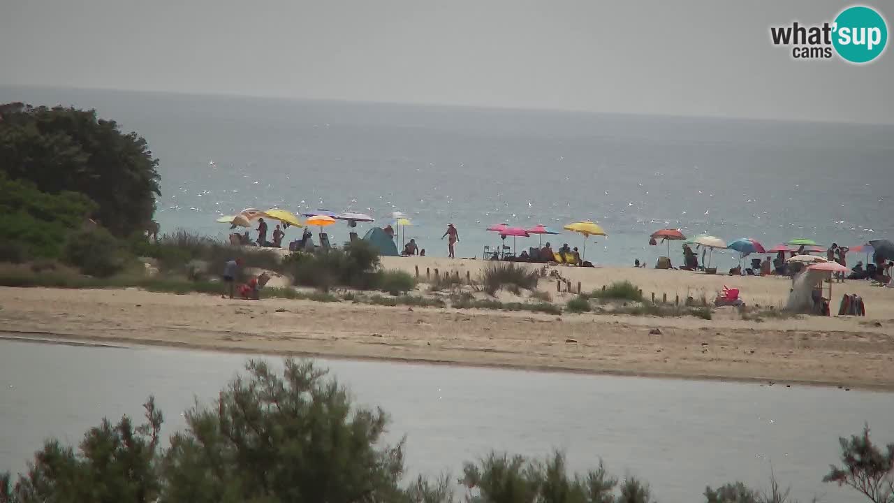 Webcam Chia – Vue en direct de la plage Su Giudeu