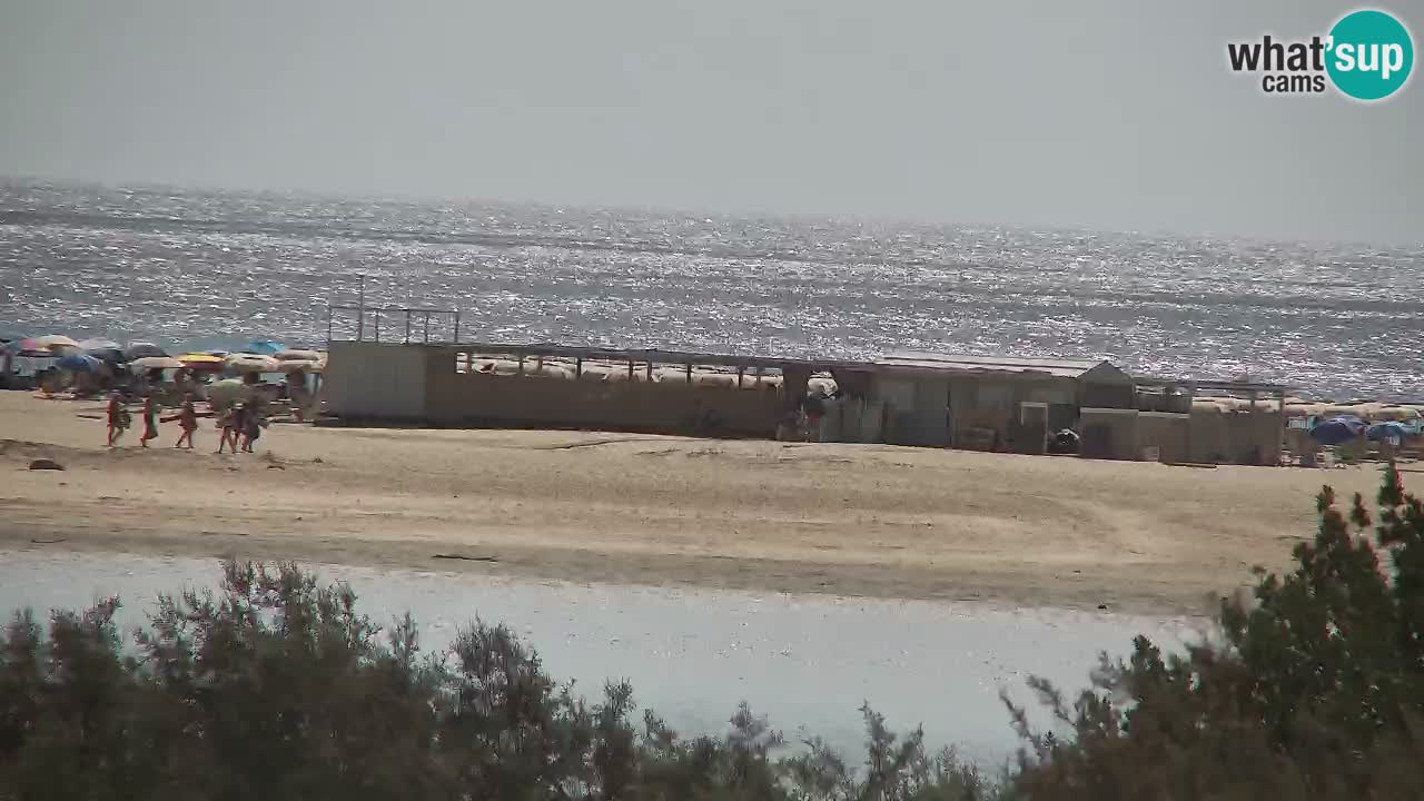 Webcam Chia – Live View of Su Giudeu Beach