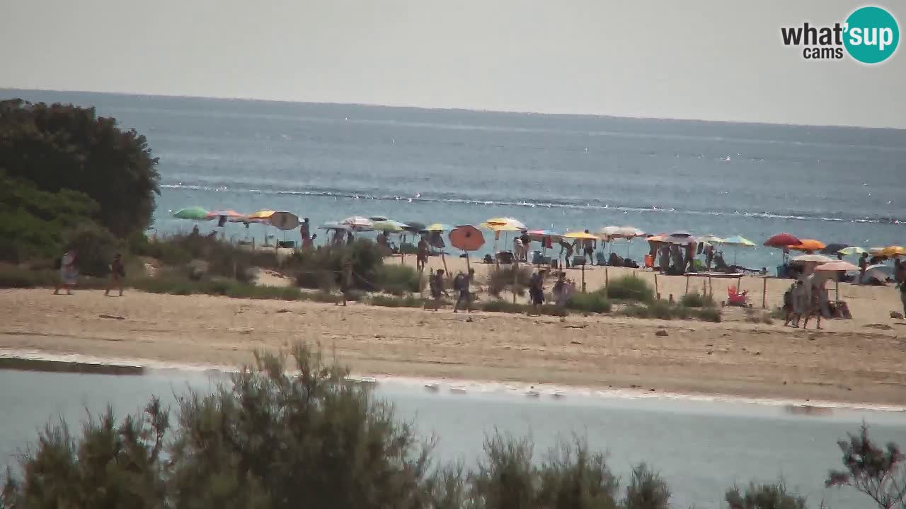 Webcam Chia – Vue en direct de la plage Su Giudeu