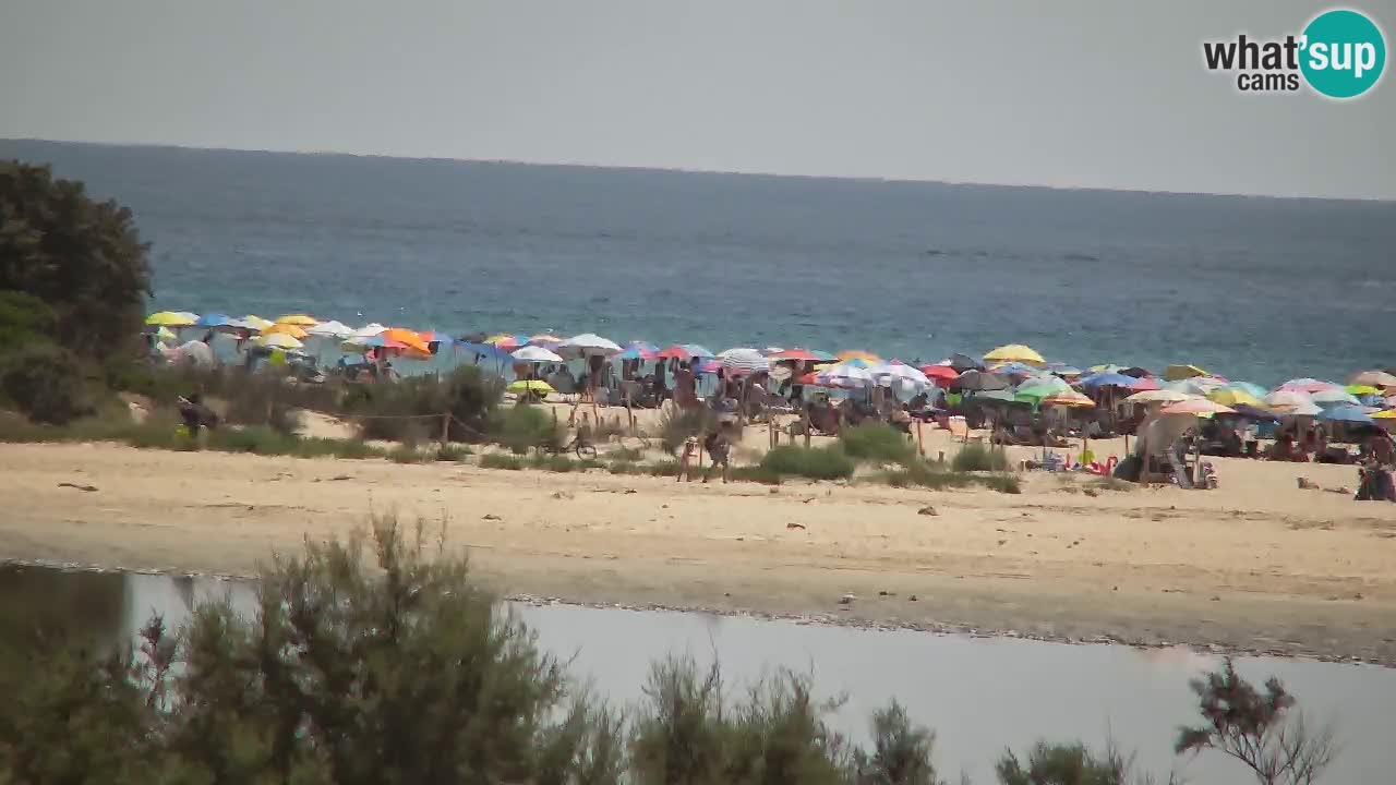 Webcam Chia – Live View of Su Giudeu Beach
