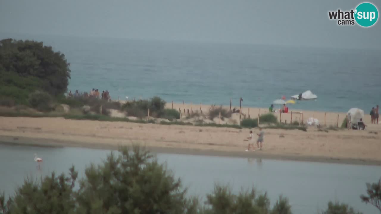Spletna kamera Chia – Pogled v živo na plažo Su Giudeu