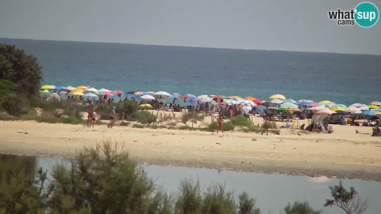Webcam Chia – Spiaggia Su Giudeu in diretta