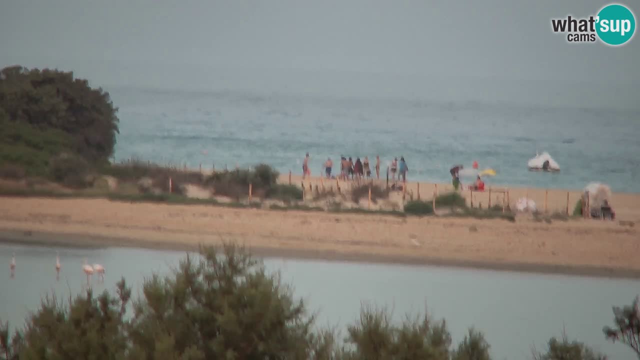 Webcam Chia – Liveblick auf den Strand Su Giudeu