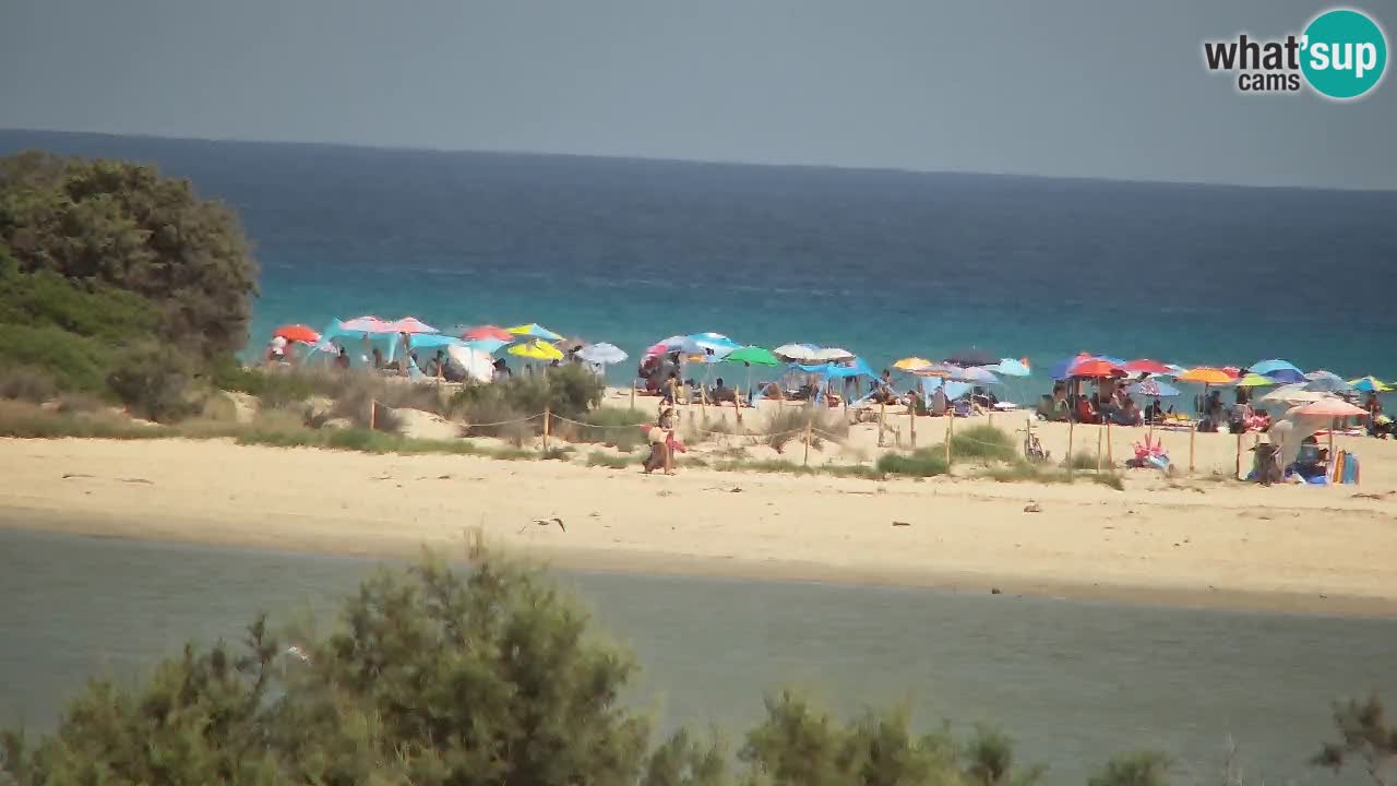 Spletna kamera Chia – Pogled v živo na plažo Su Giudeu