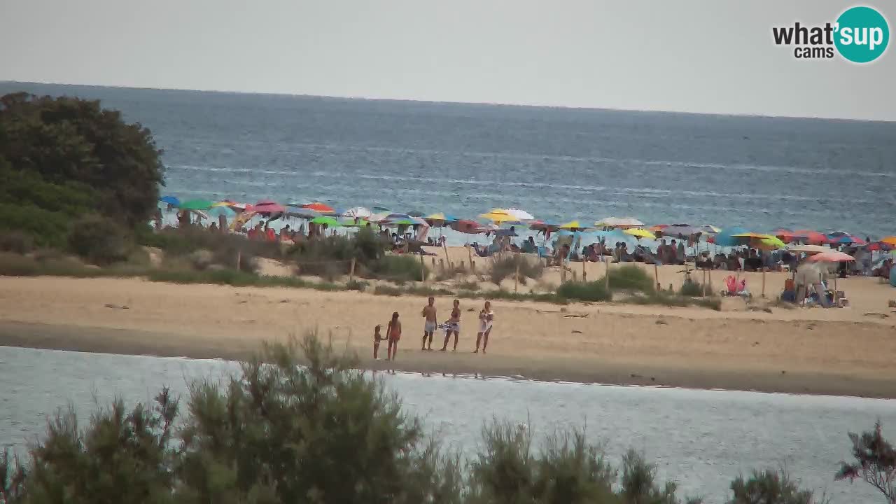 Webcam Chia – Live View of Su Giudeu Beach