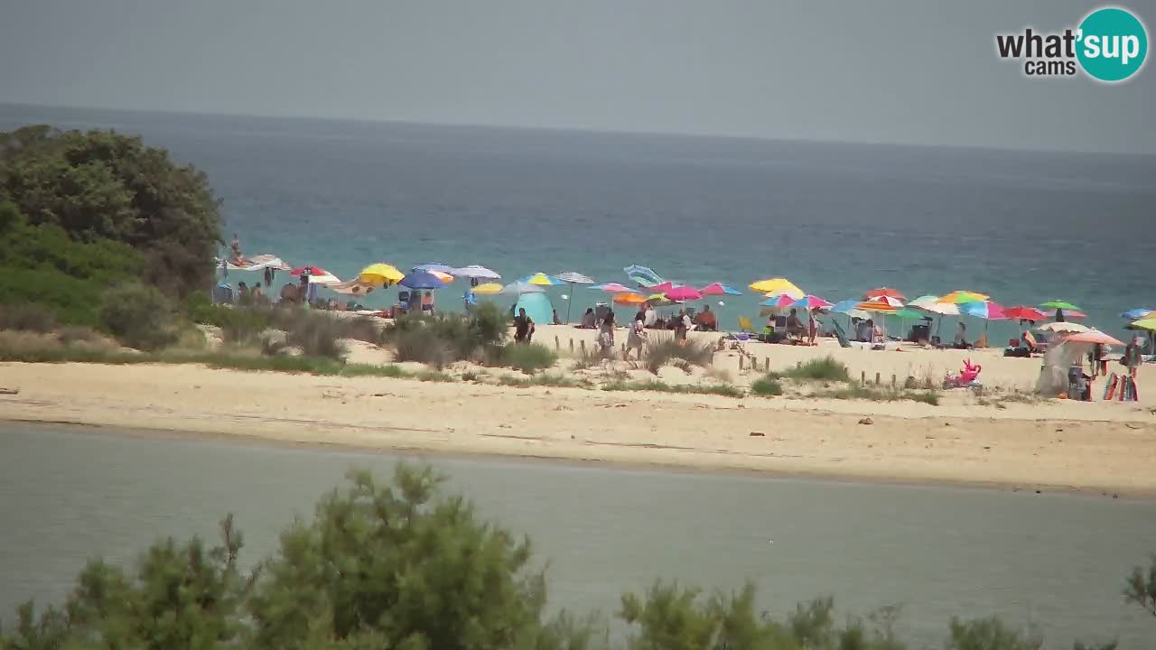 Webcam Chia – Vue en direct de la plage Su Giudeu