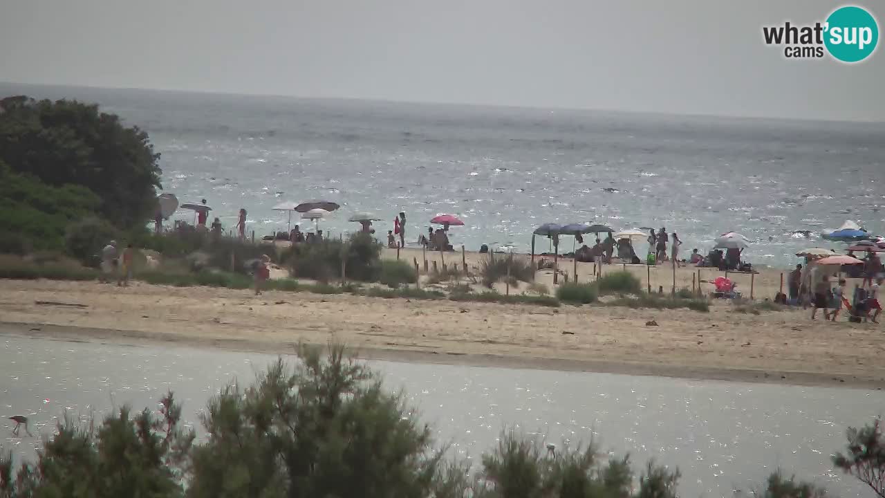 Webcam Chia – Spiaggia Su Giudeu in diretta