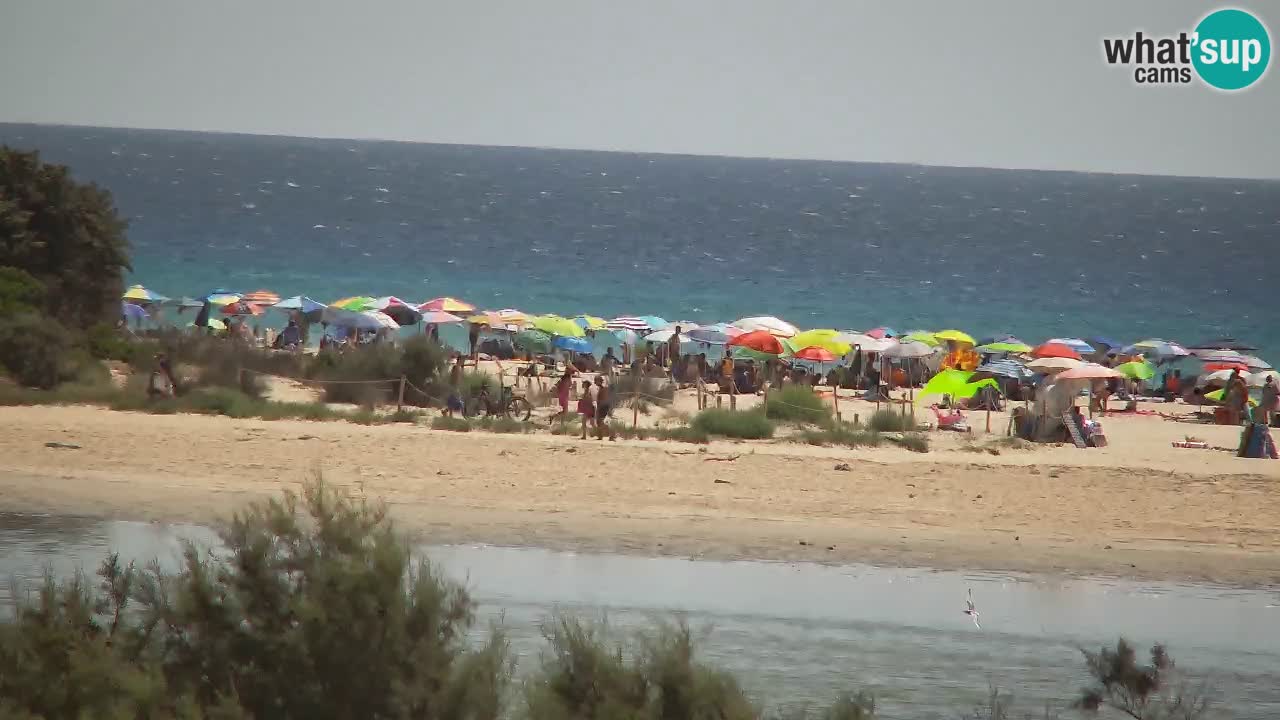 Web kamera Chia – Pogled uživo na plažu Su Giudeu