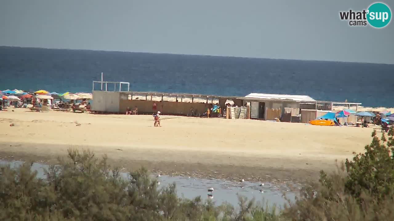 Webcam Chia – Liveblick auf den Strand Su Giudeu