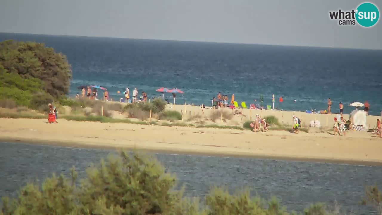 Webcam Chia – Vue en direct de la plage Su Giudeu
