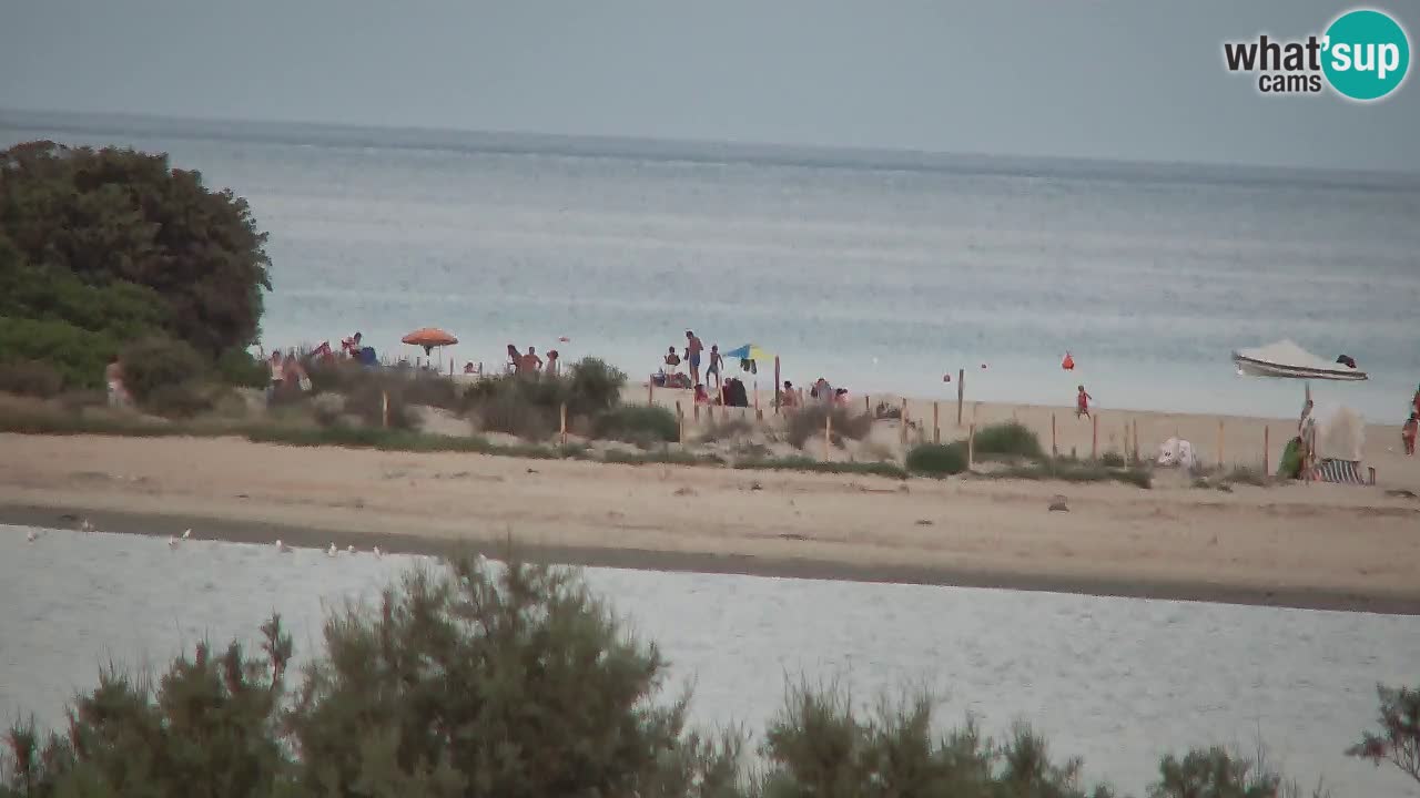 Webcam Chia – Vista en directo de la playa Su Giudeu