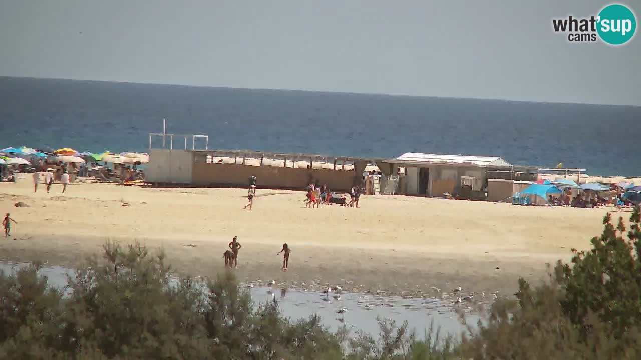 Webcam Chia – Live View of Su Giudeu Beach