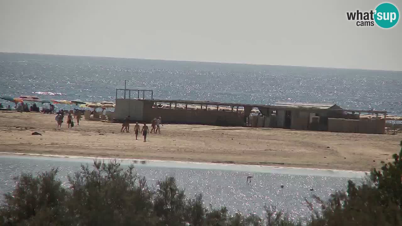 Webcam Chia – Live View of Su Giudeu Beach