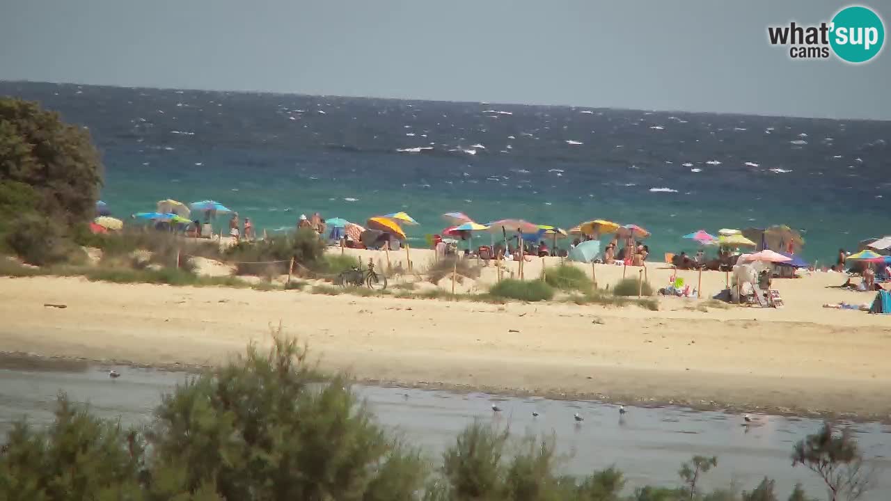Webcam Chia – Liveblick auf den Strand Su Giudeu
