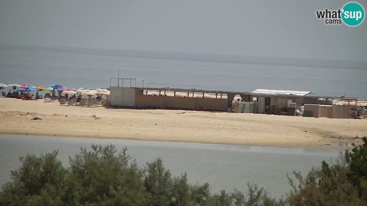Webcam Chia – Live View of Su Giudeu Beach