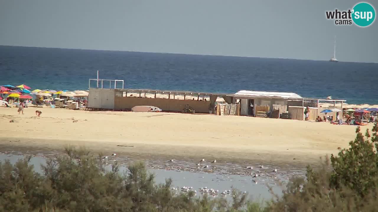 Webcam Chia – Liveblick auf den Strand Su Giudeu