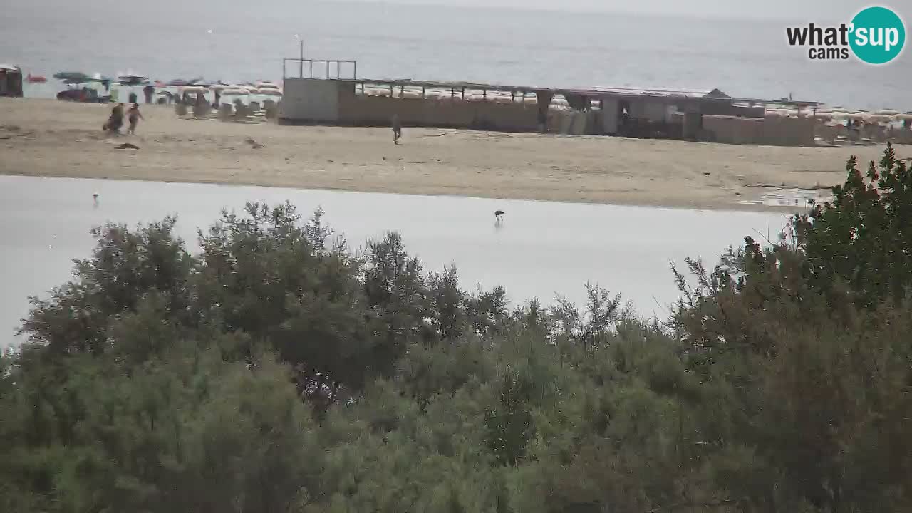 Webcam Chia – Live View of Su Giudeu Beach