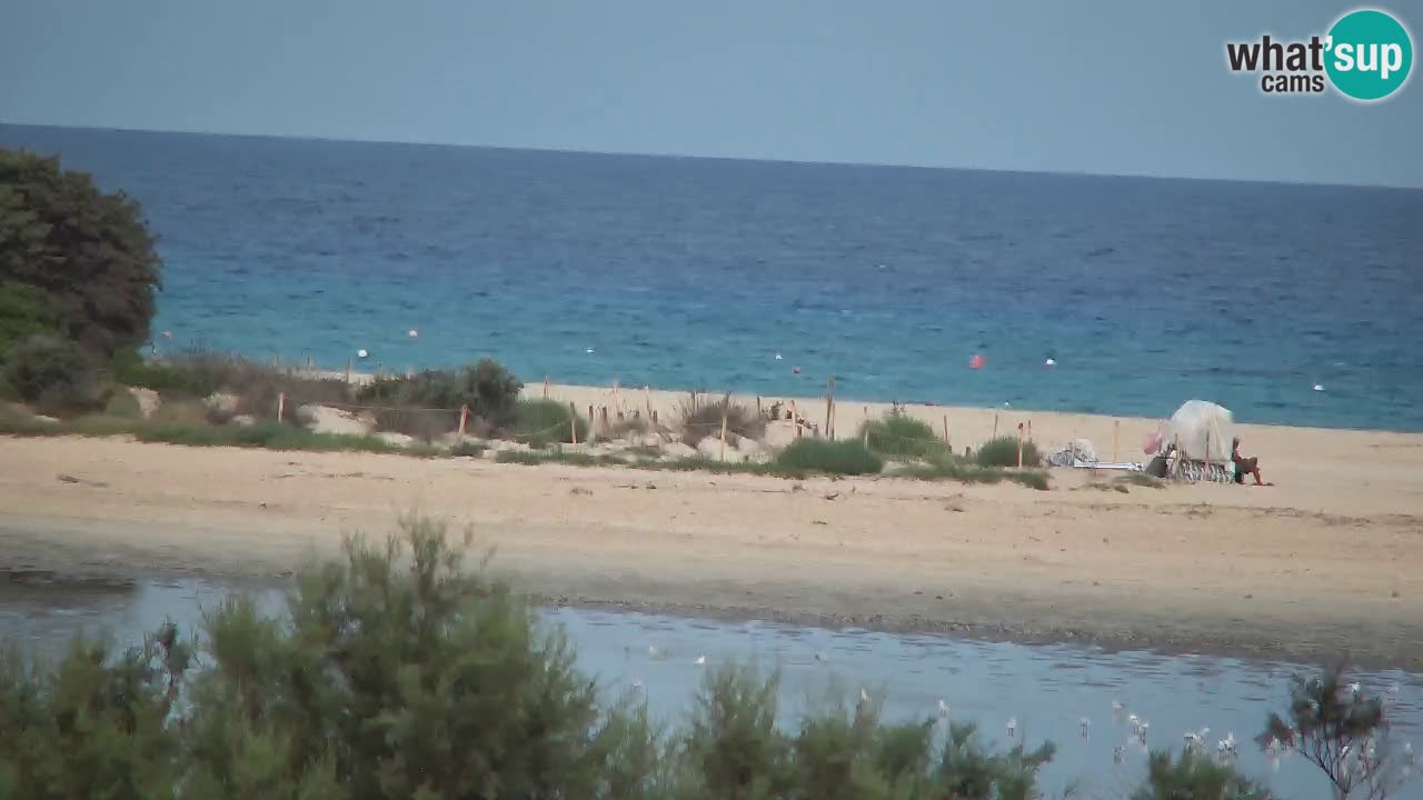 Web kamera Chia – Pogled uživo na plažu Su Giudeu