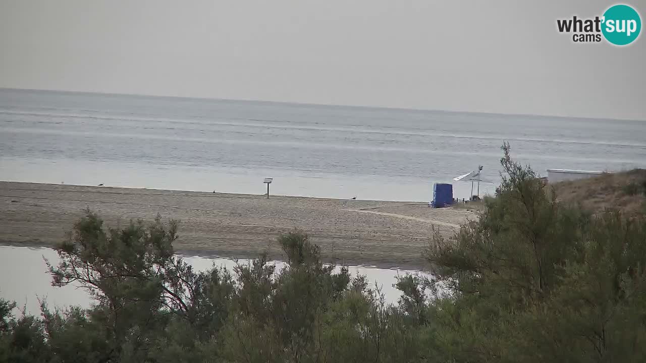 Webcam Chia – Live View of Su Giudeu Beach