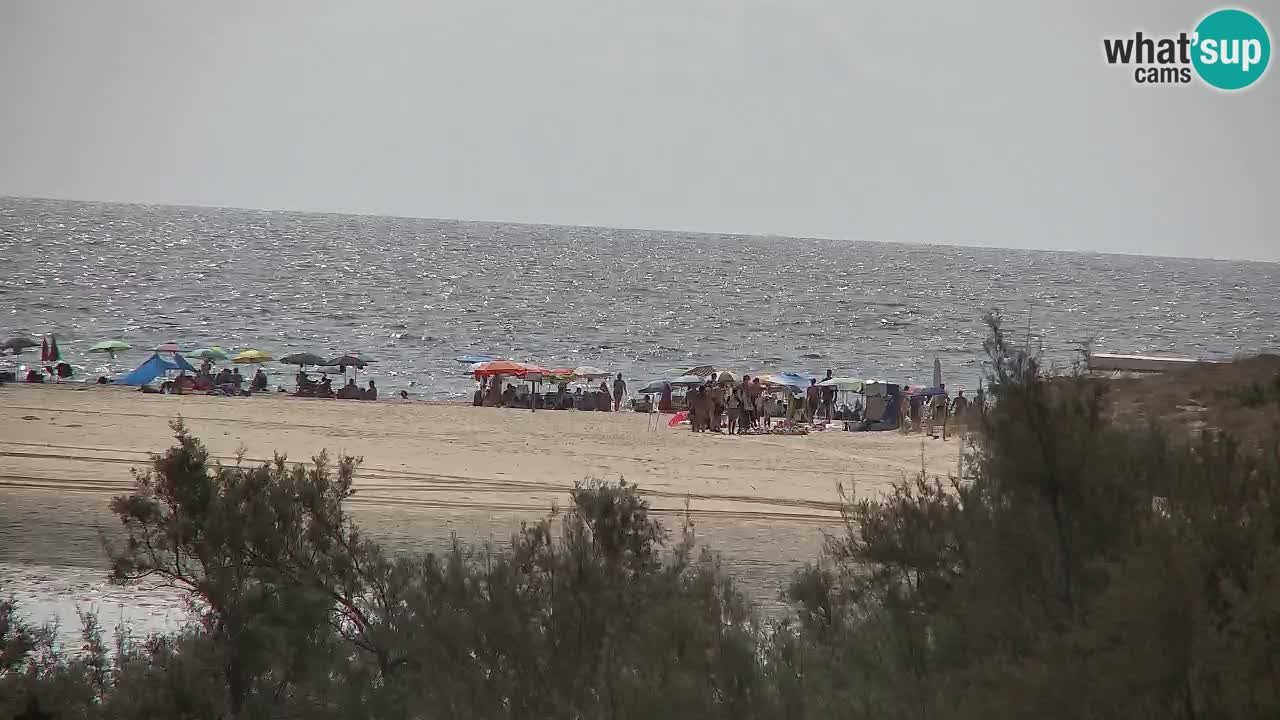 Webcam Chia – Live View of Su Giudeu Beach