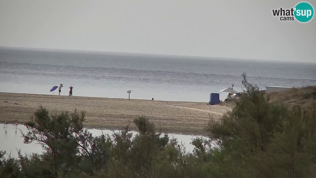Webcam Chia – Vue en direct de la plage Su Giudeu
