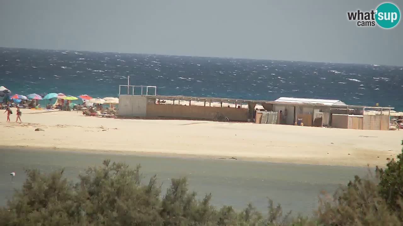 Webcam Chia – Live View of Su Giudeu Beach