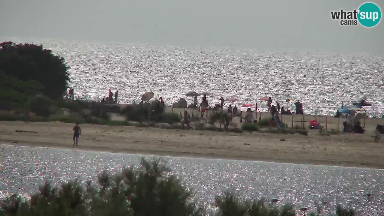 Webcam Chia – Live View of Su Giudeu Beach