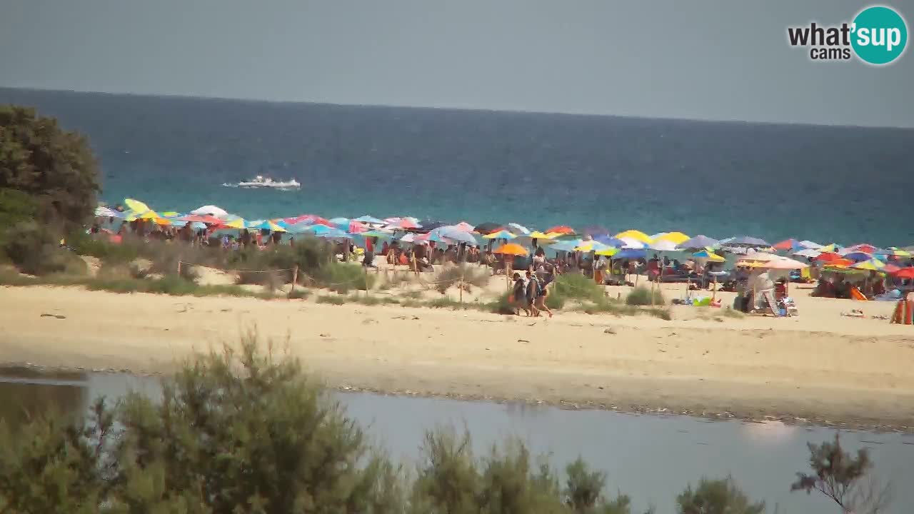 Webcam Chia – Vue en direct de la plage Su Giudeu