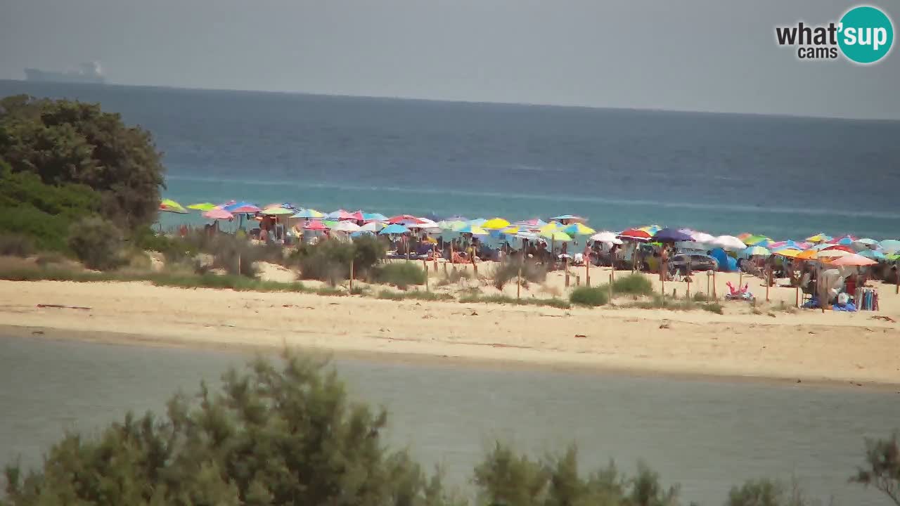 Webcam Chia – Liveblick auf den Strand Su Giudeu