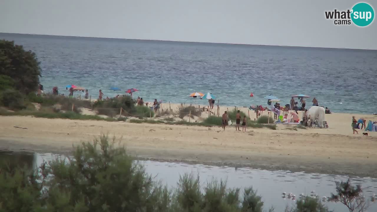 Webcam Chia – Spiaggia Su Giudeu in diretta
