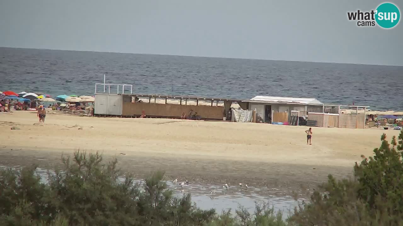 Webcam Chia – Live View of Su Giudeu Beach