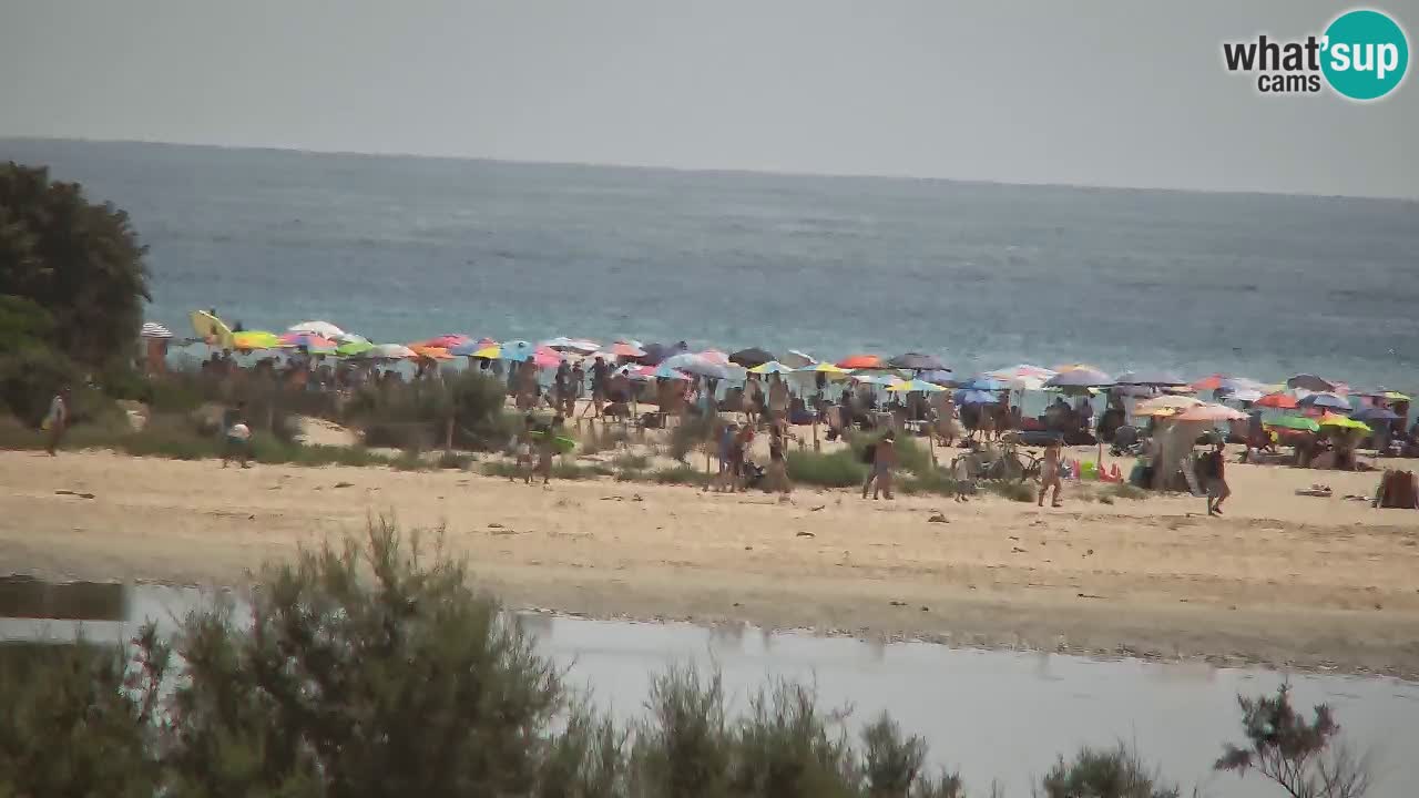 Spletna kamera Chia – Pogled v živo na plažo Su Giudeu