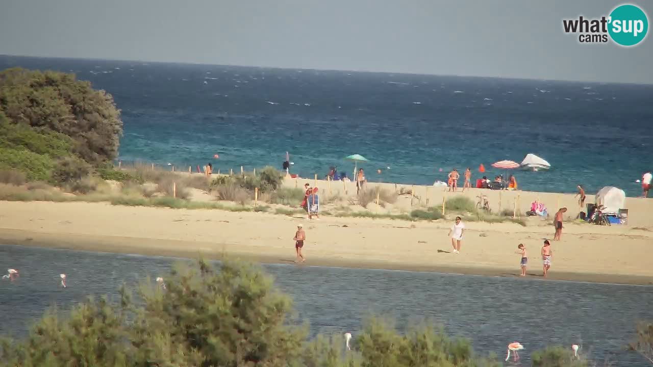 Webcam Chia – Vista en directo de la playa Su Giudeu