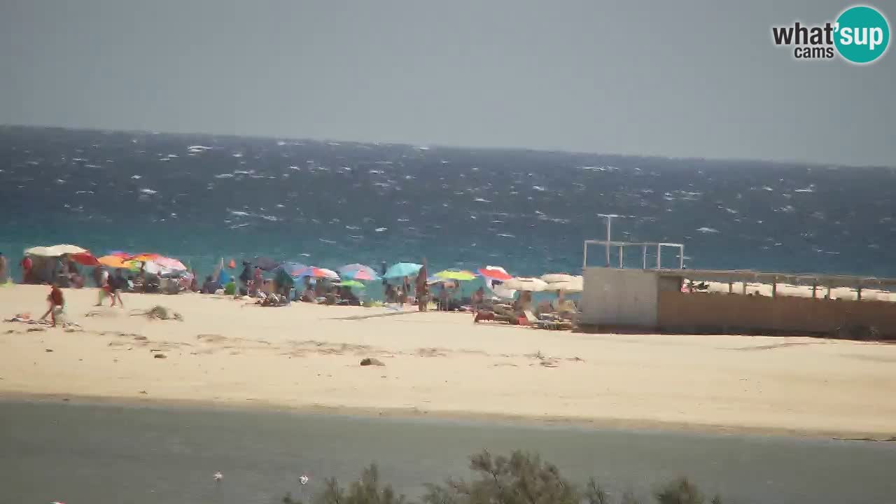 Webcam Chia – Live View of Su Giudeu Beach
