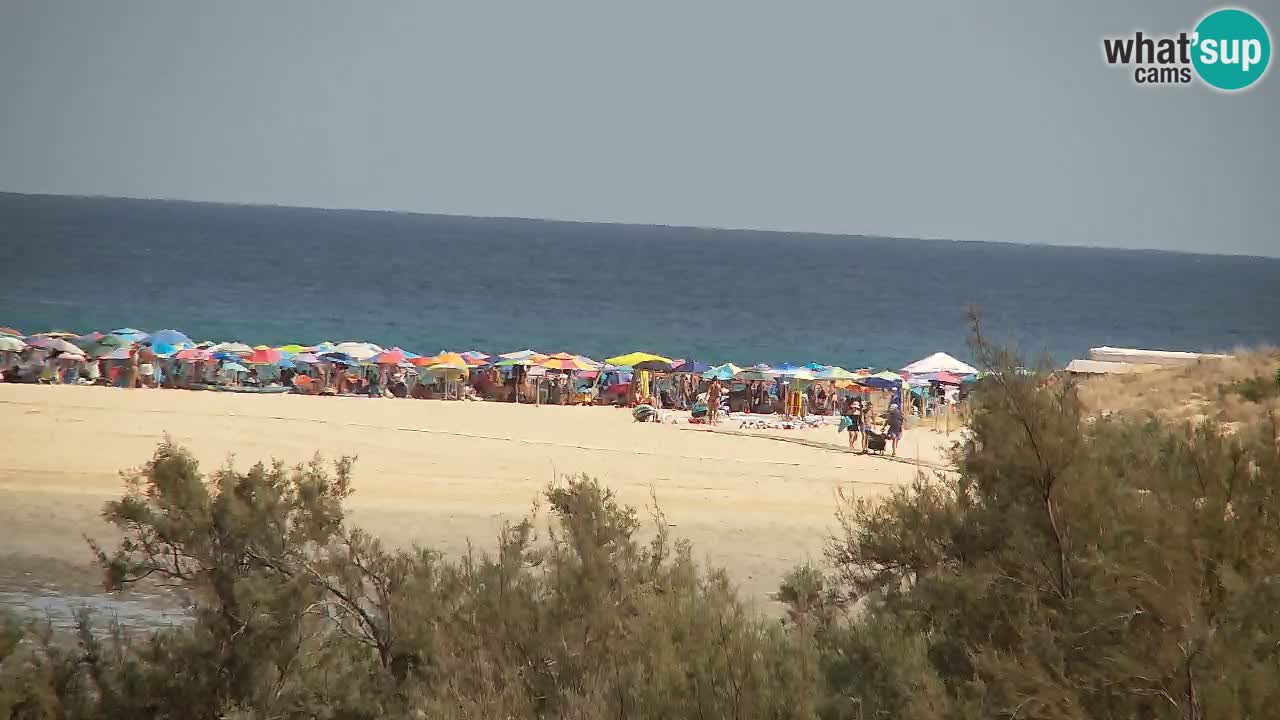 Webcam Chia – Live View of Su Giudeu Beach