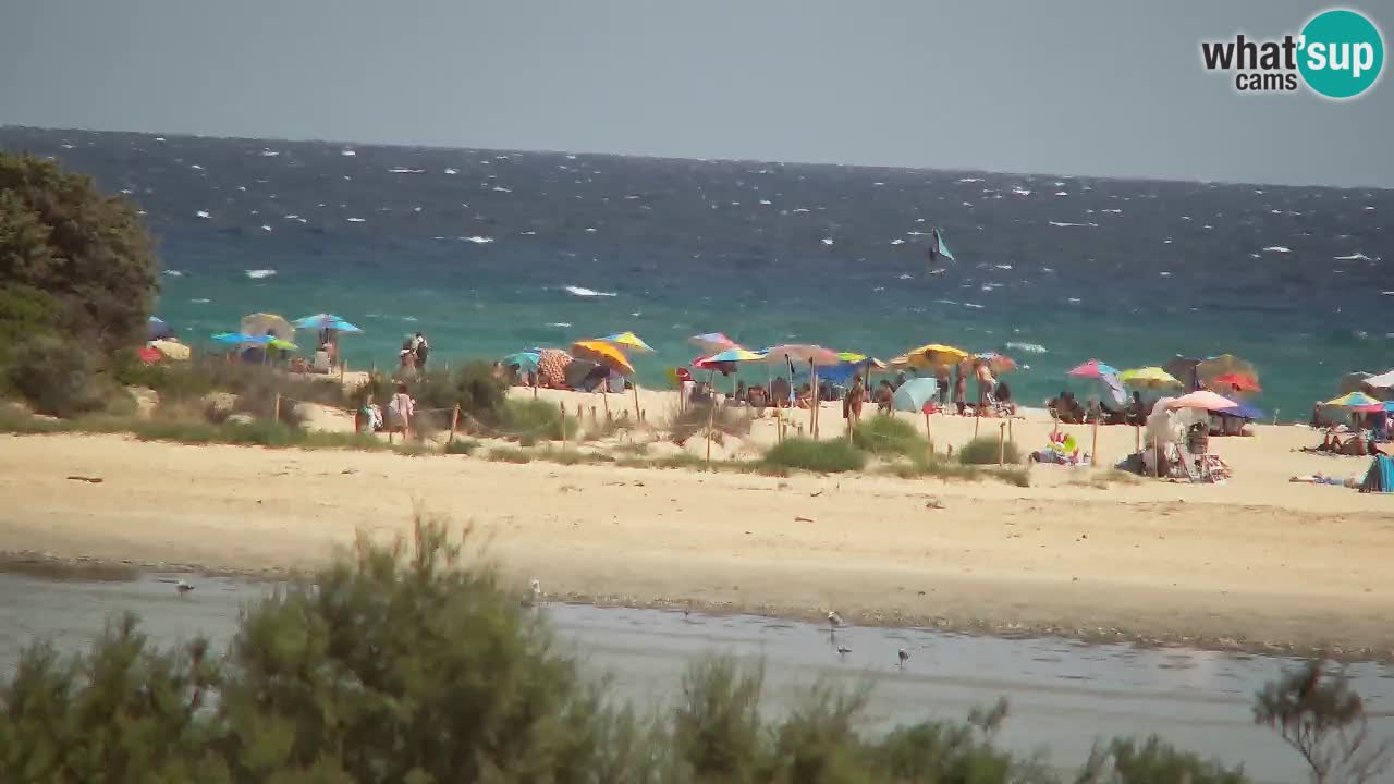 Webcam Chia – Vue en direct de la plage Su Giudeu