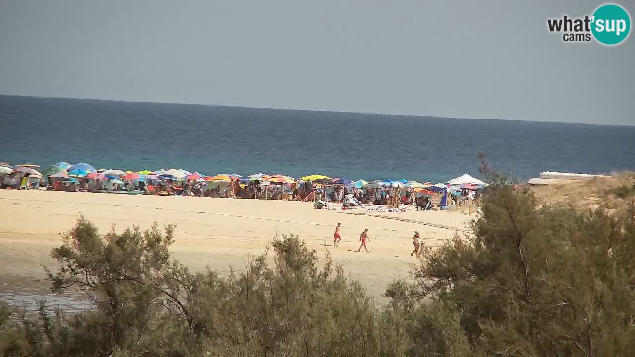 Webcam Chia – Live View of Su Giudeu Beach