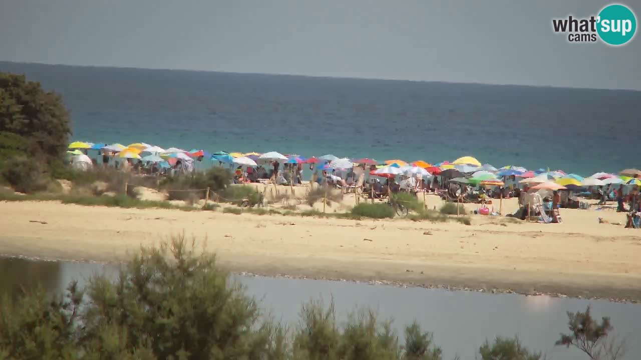 Webcam Chia – Live View of Su Giudeu Beach