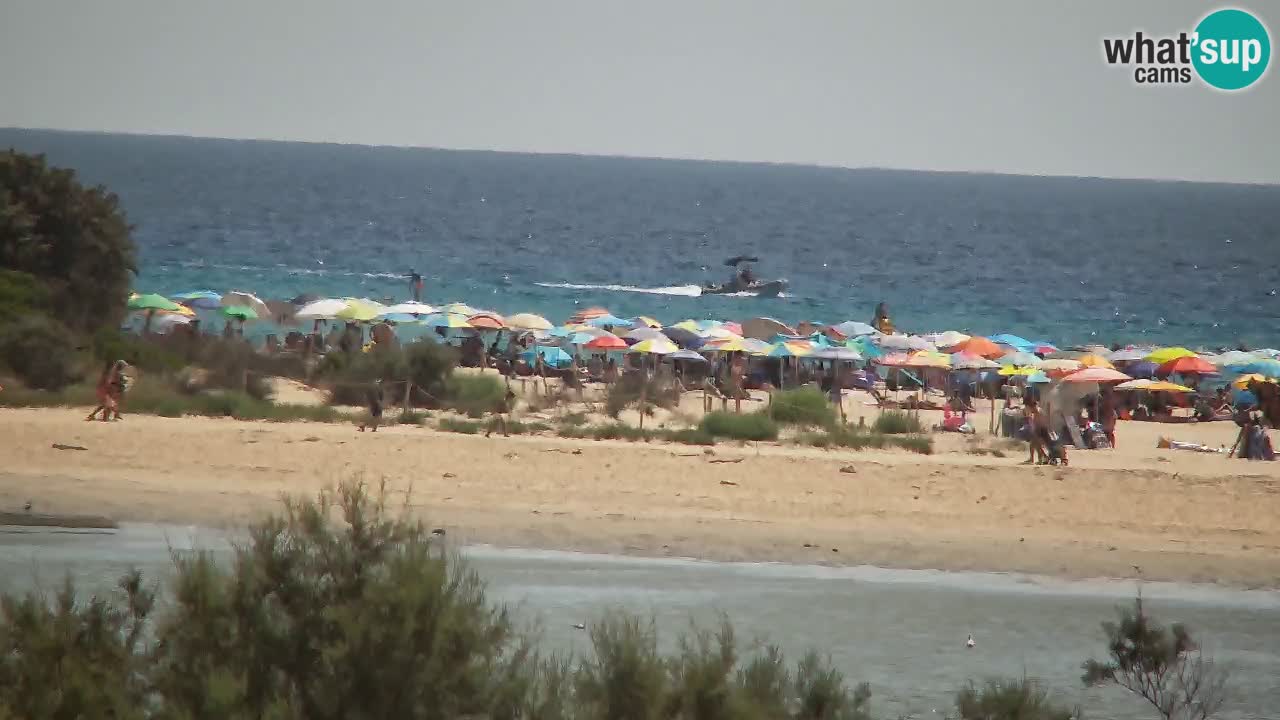 Webcam Chia – Live View of Su Giudeu Beach