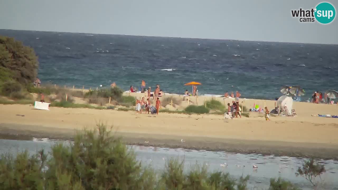 Webcam Chia – Live View of Su Giudeu Beach