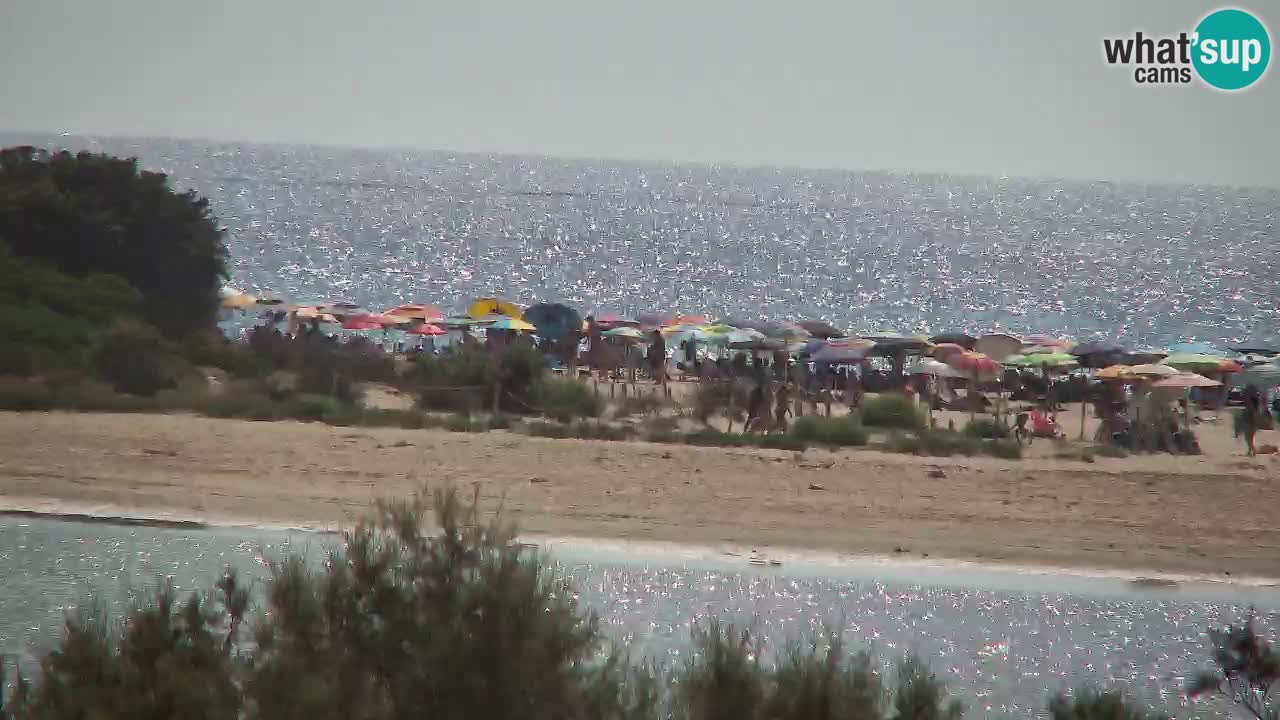 Webcam Chia – Live View of Su Giudeu Beach