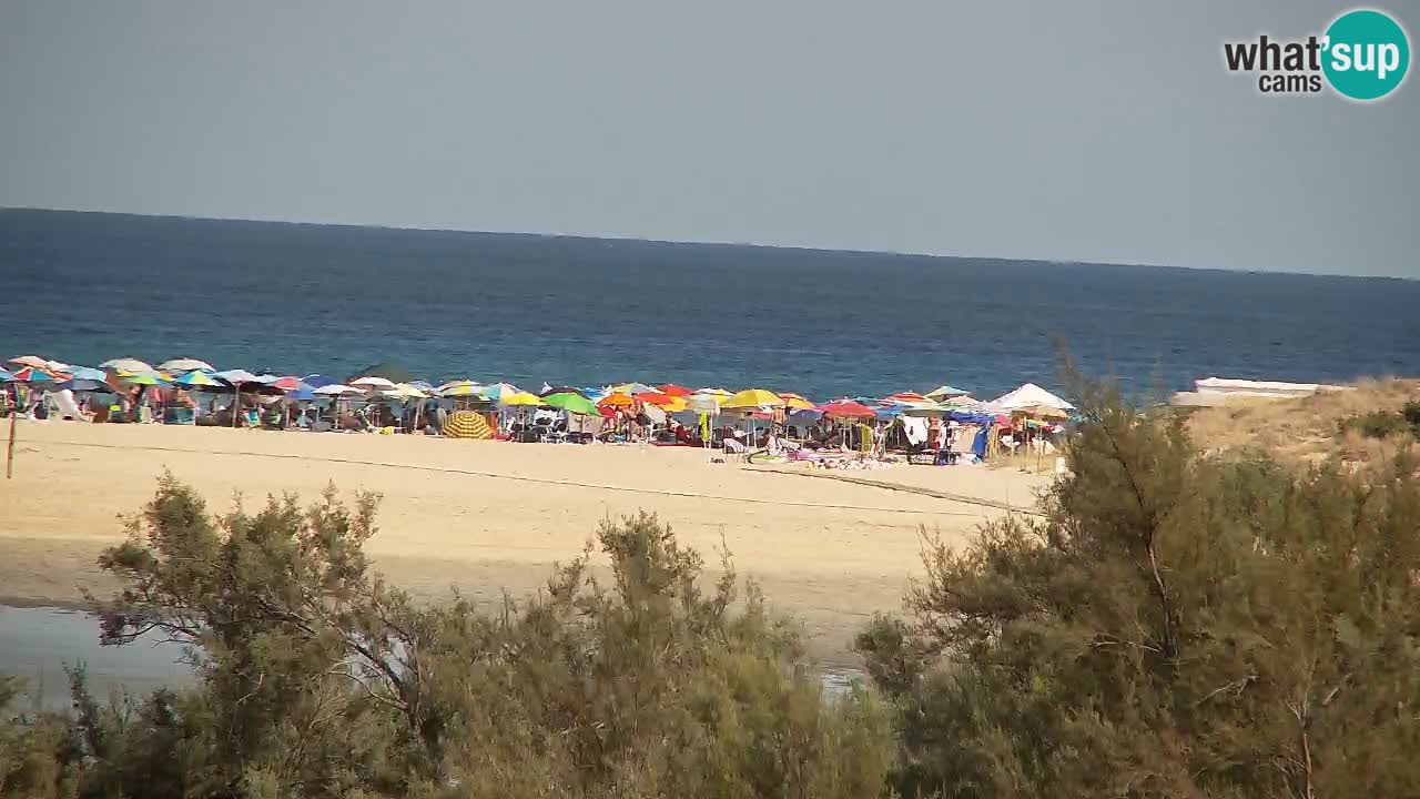 Webcam Chia – Vue en direct de la plage Su Giudeu